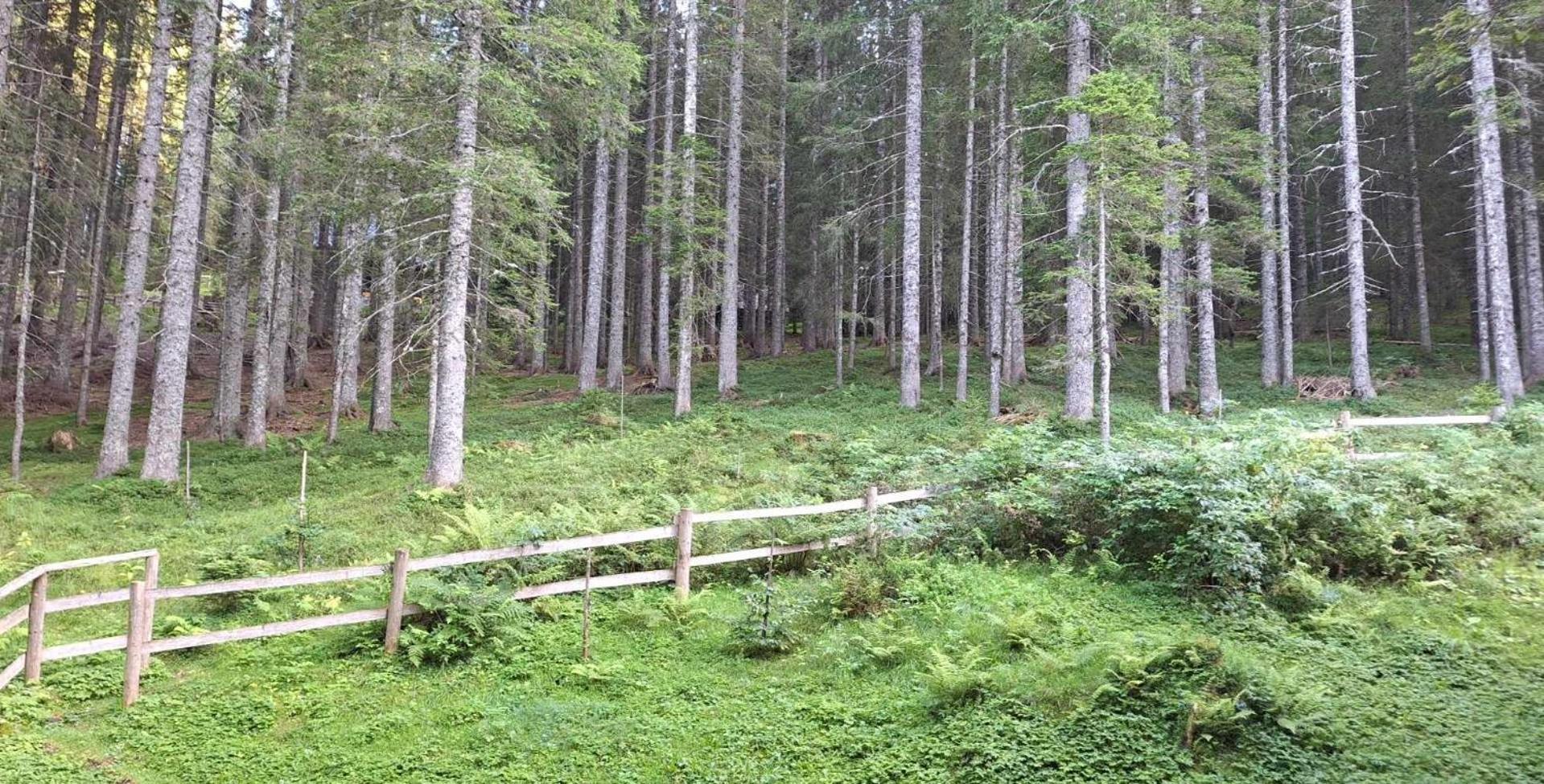 Apartma Anja Згорнє Горє Екстер'єр фото